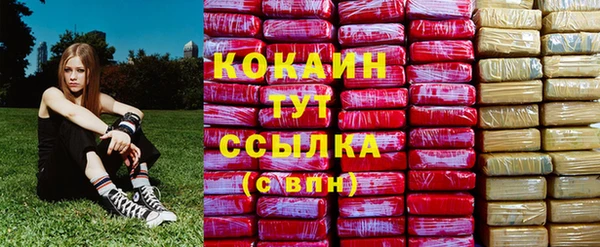дживик Видное