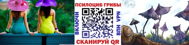 Галлюциногенные грибы мицелий  Комсомольск 